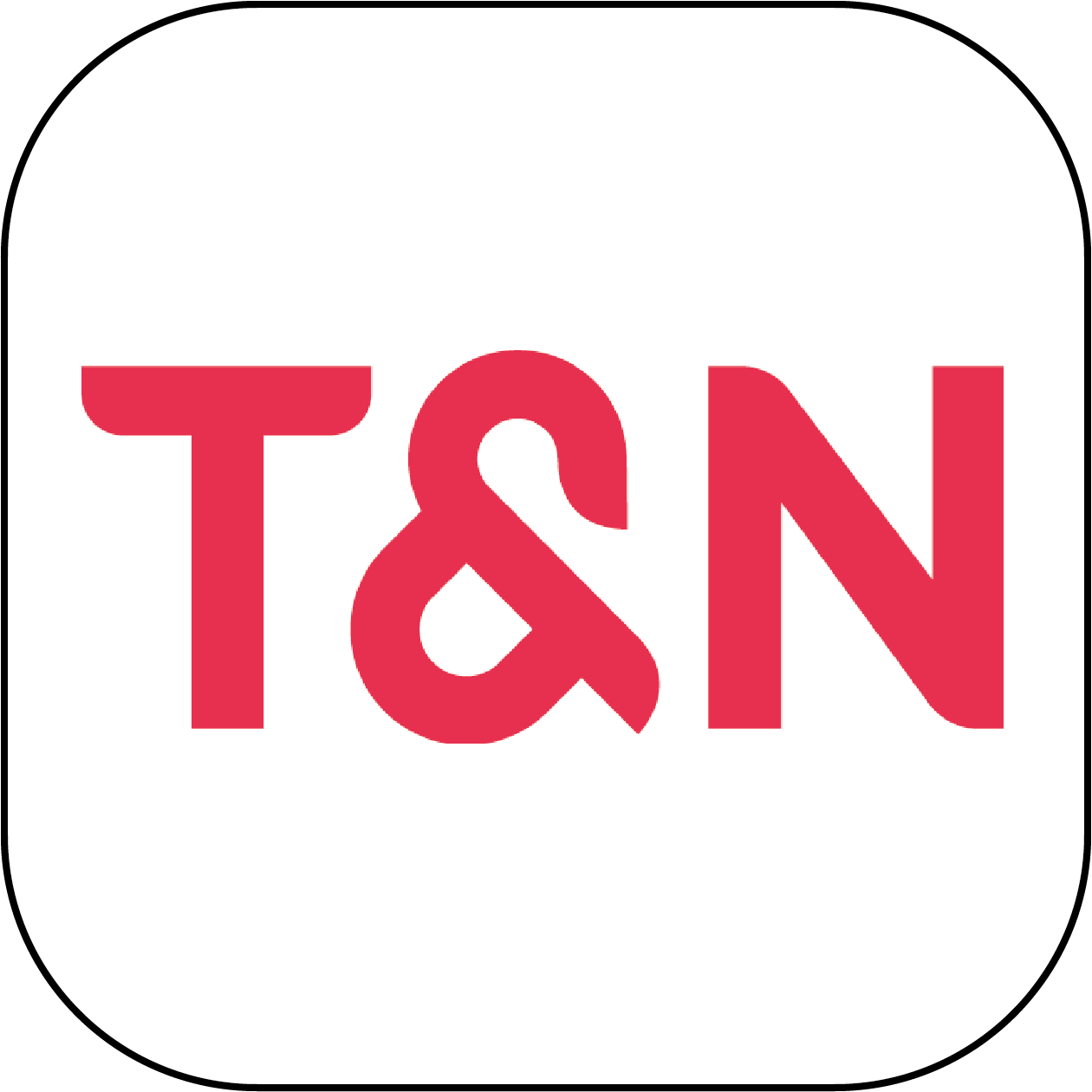 T&N Telekom and Network AG